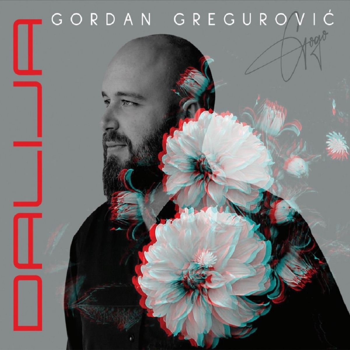 album slika